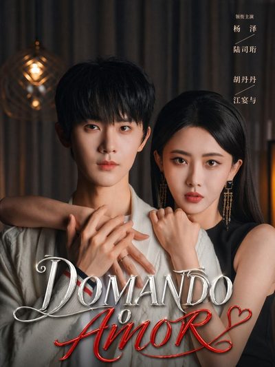Capa da miniss&eacute;rie Domando o Amor