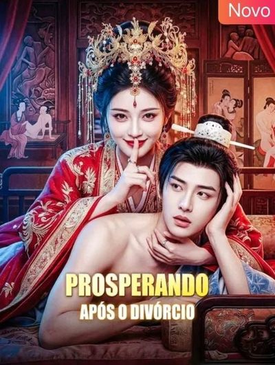 Capa da miniss&eacute;rie Prosperando Após o Divórcio