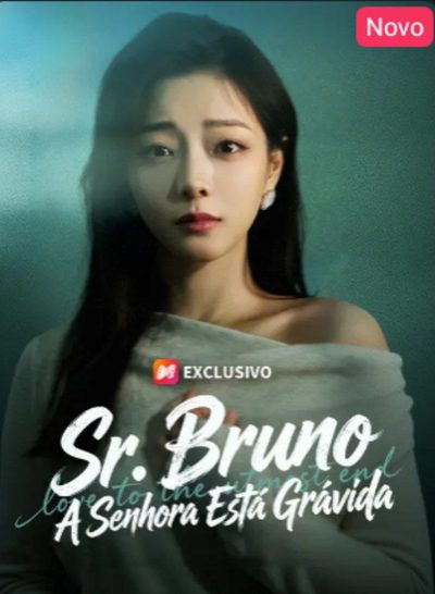 Capa da miniss&eacute;rie Sr. Bruno, a Senhora Está Grávida